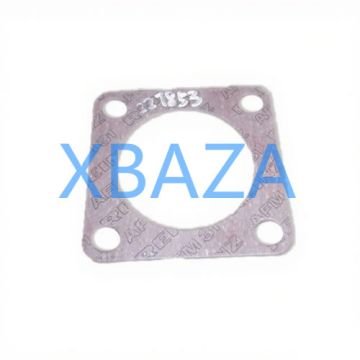 حشية 227853 لمحرك غاز جينباتشر