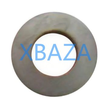 غسالة 102162 لمحرك الغاز جينباتشر J420