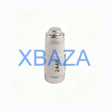 قابس دي فيوز Jenbacher 117793 أصلي